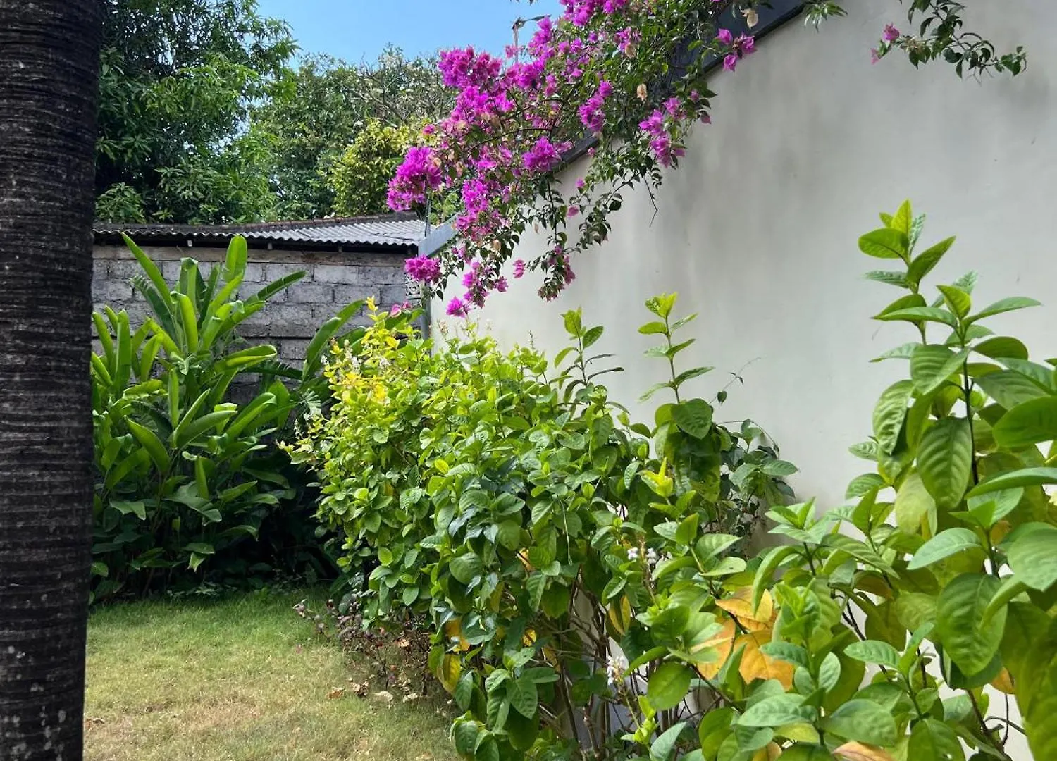 Pondok Ledog 01 Badung  Guest house
